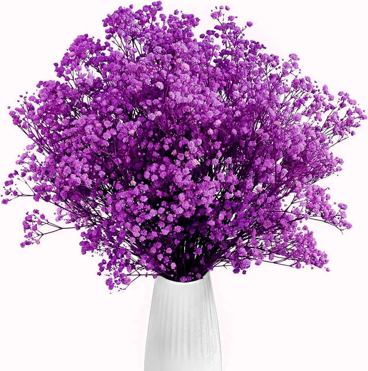 Viola Gypsophila Essiccata, 43cm Naturale Fiori Secchi stabilizzata Oltre 3000 Boccioli, Gypsophila Secchi per Matrimonio, Decorazione della Casa, Fai da Te e Partito