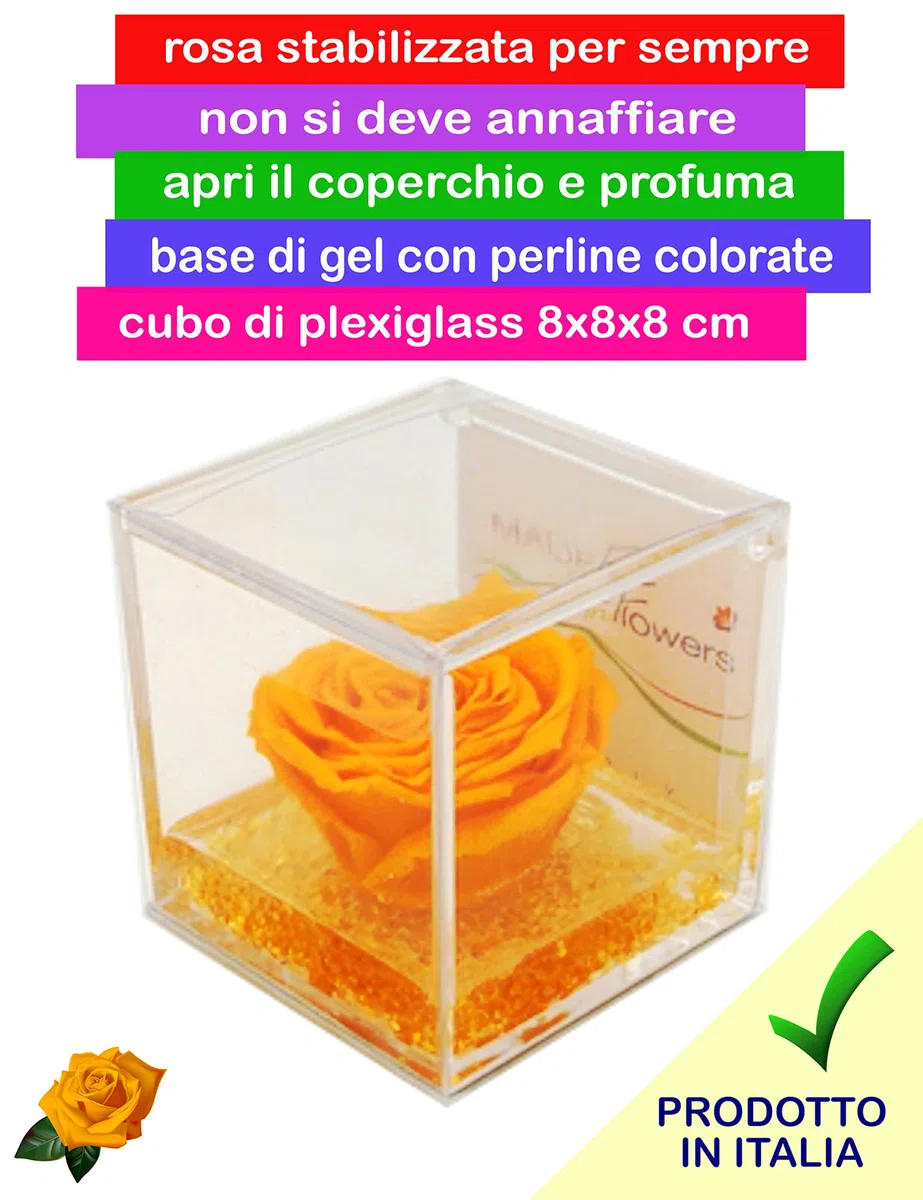 Texo di Claudio Rosso Rosa Vera Arancione Stabilizzata Profumata 8x8 Idea Regalo Fidanzata Moglie