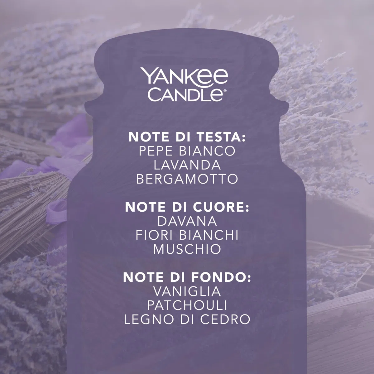 Yankee Candle Scented Candle | Candela in giara grande della Lavanda Essiccata e Quercia | Candele a lunga combustione: fino a 150 ore | Regali perfetti per le donne